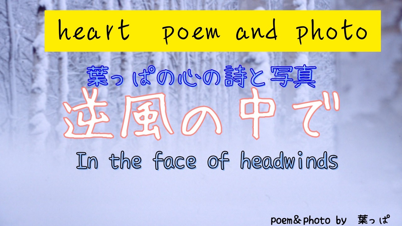 葉っぱの心の詩と写真poem＆ photo「逆風の中で」