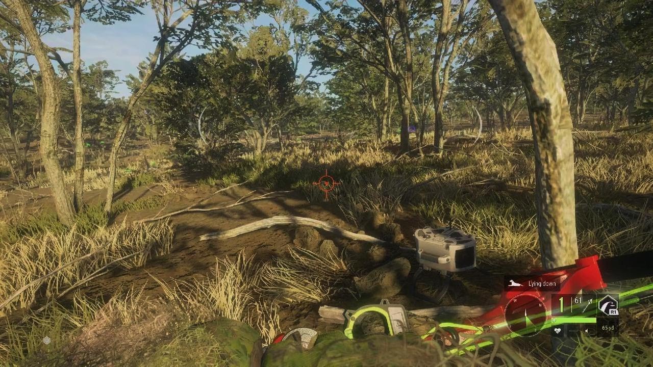 theHunter: Call of the Wild_20260111154329