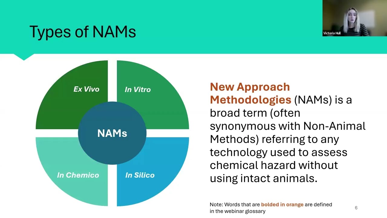 In Silico Toxicology 101: Computational tools for chemical hazard characterisation