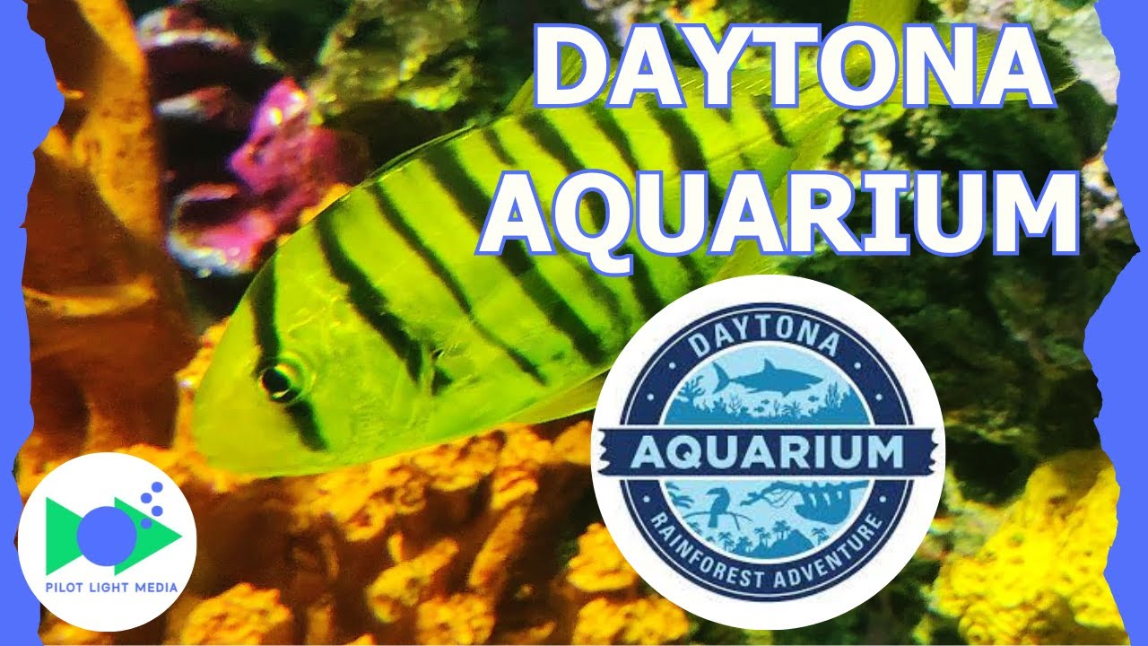 Explore This New Aquarium - Complete Tour