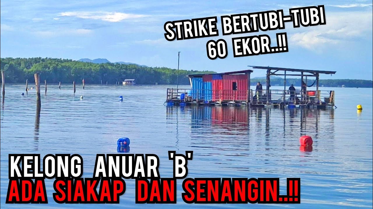 REVIEW KELONG ANUAR | PORT SARANG SIAKAP DAN SEMUA IKAN MUARA