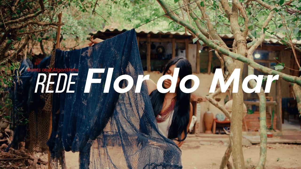 Raízes e Algoritmos (Ep. 4): A mestra das redes fantasmas de Cabo Frio