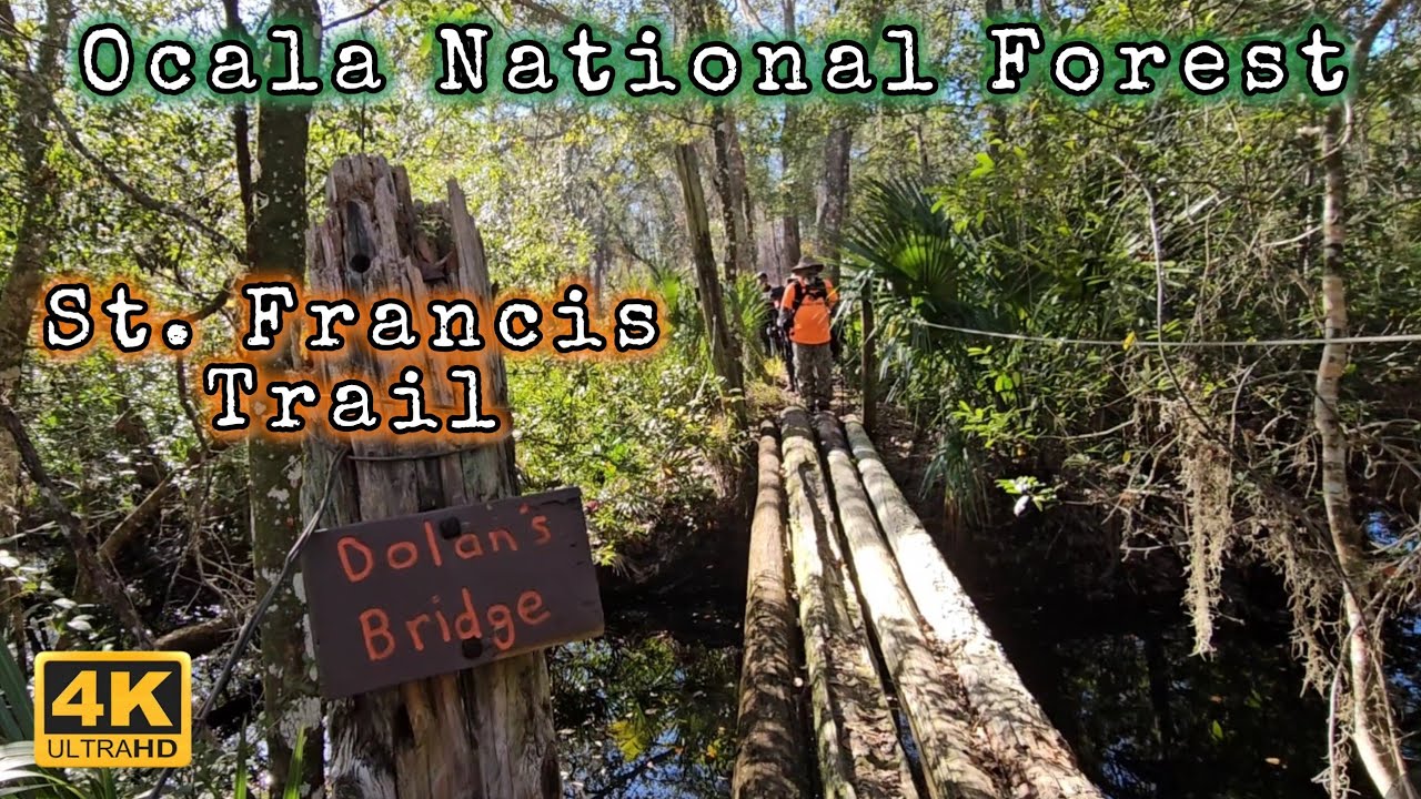 Ocala National Park: Surviving the St. Francis Trail During Hunting Season🦌