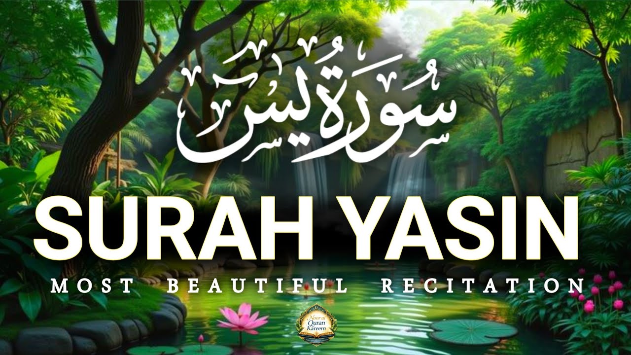 Surah Yaseen سورة يس | Relaxing Lofiquan | Peaceful Sleep & Inner Calm | Noor ul Quran Kareem