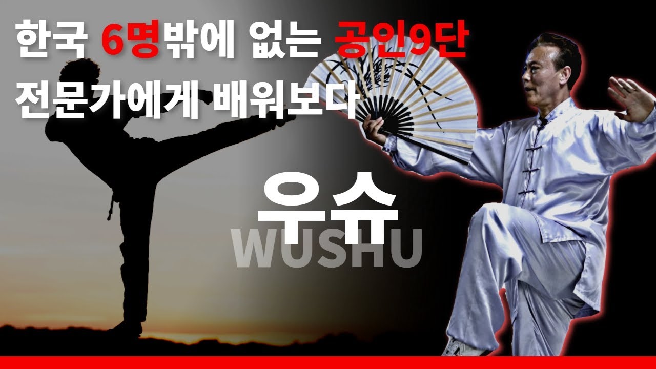 중국 전통무술 우슈👊 근데 그거 쎄냐? | 고수를 찾아서4