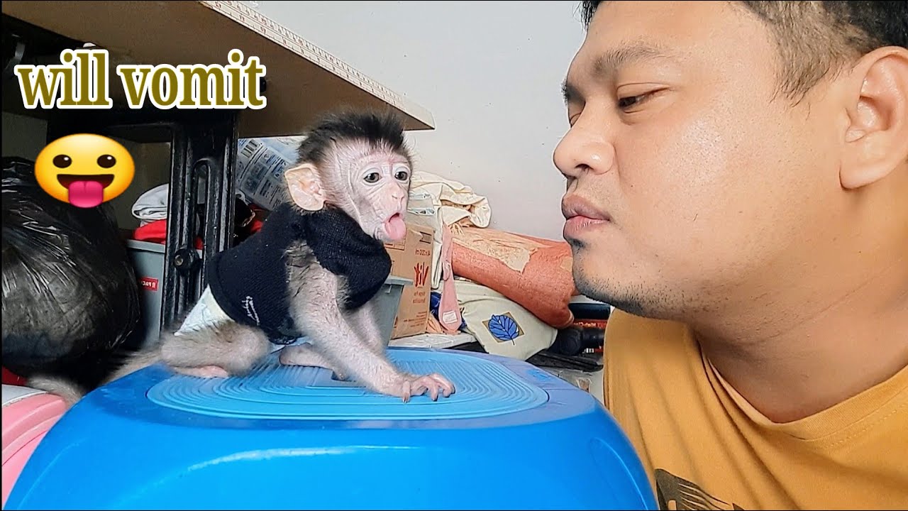 OMG, Baby monkey libby almost vomit seeing my face. Is i'am so UGLY?