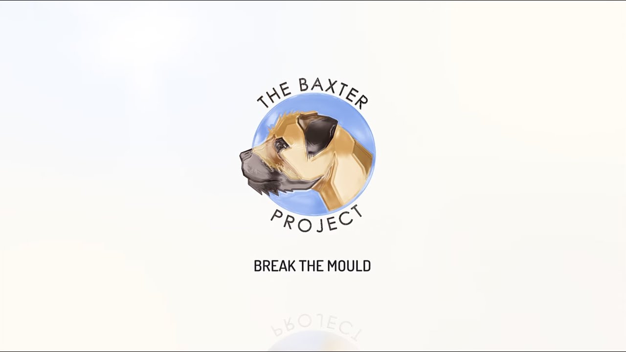 The Baxter Project - Promo