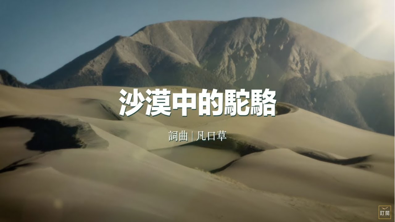 沙漠中的駱駝