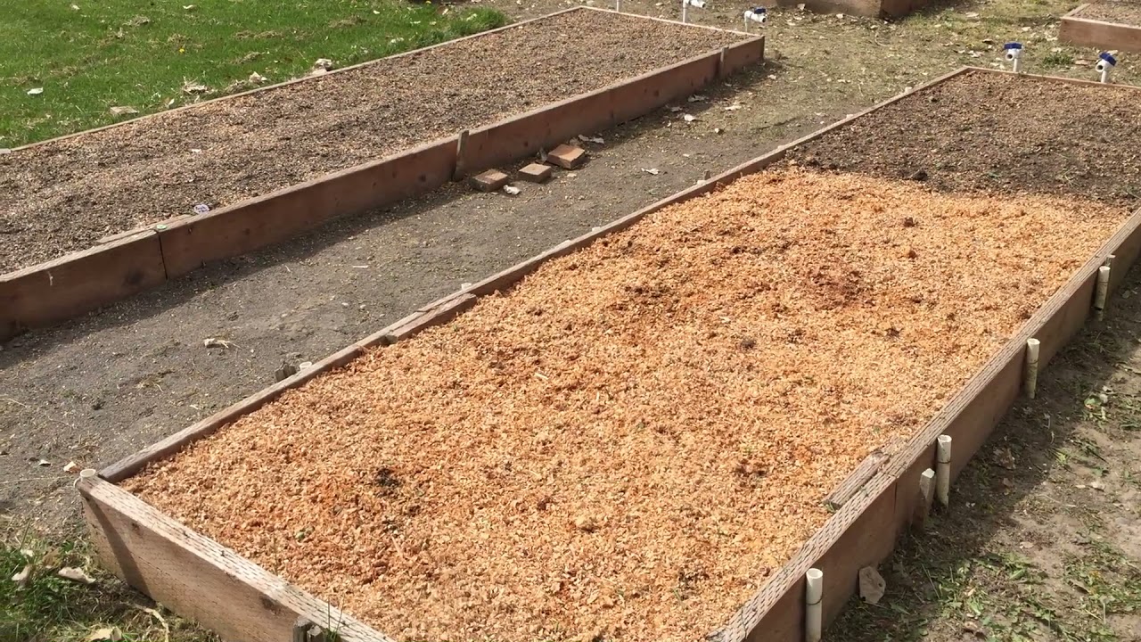 Jim Kennard - Mittleider Garden,   May 2021