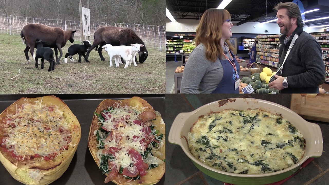 Spaghetti Squash (2 Ways!) Spinach/Artichoke Dip, and Baby Lambs (Episode #404)