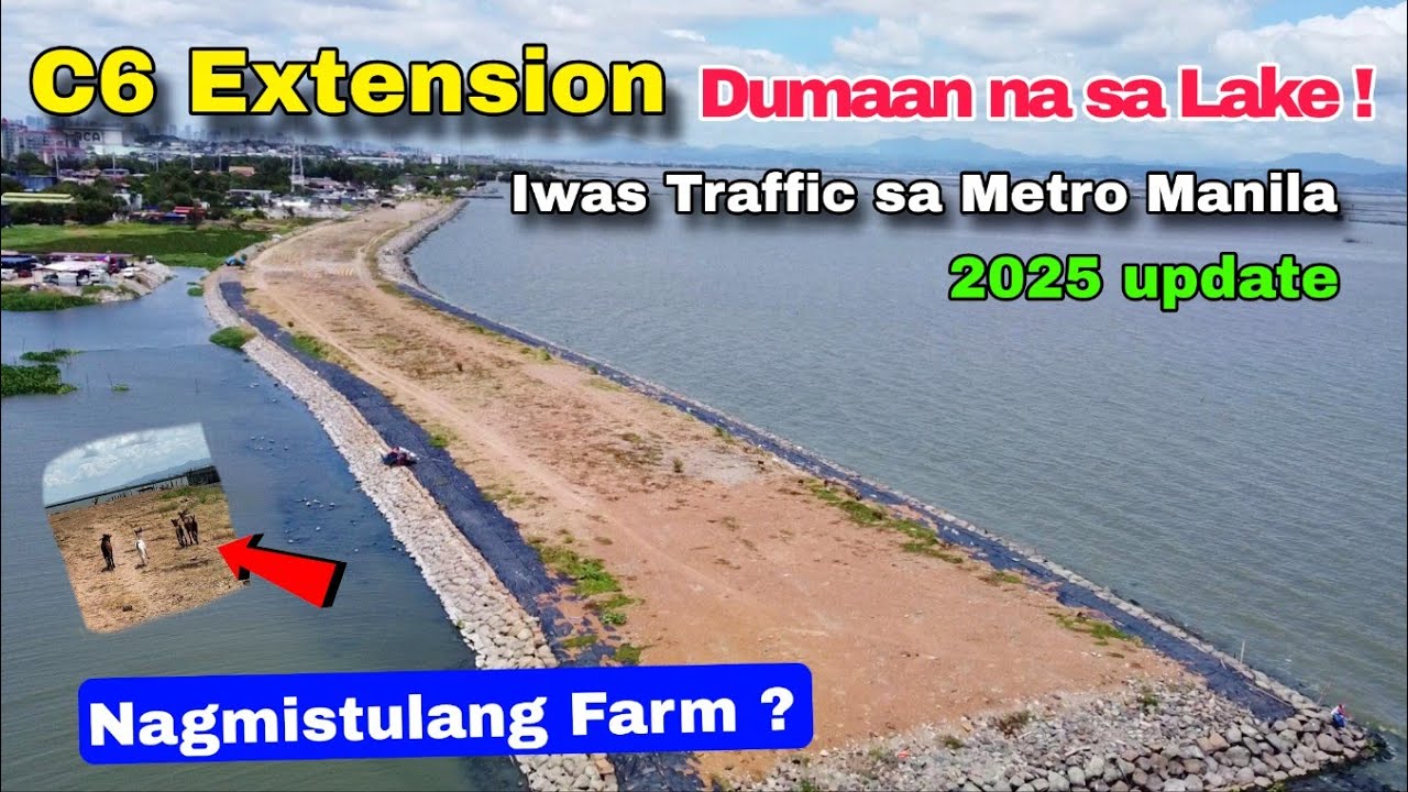 KALSADA sa Lake Dadaan ! C6 Extension nagmistulang Farm na ! SUCAT Muntinlupa  May 2025 update