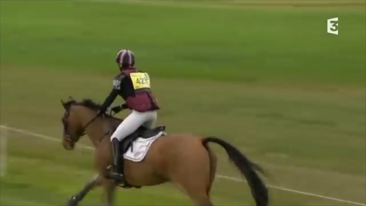Revivez l'épreuve du cross du CCI 4 *  de Pau