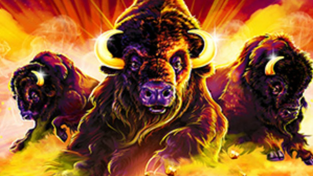 Buffalo Gold - Almost a member of the 15 head club!