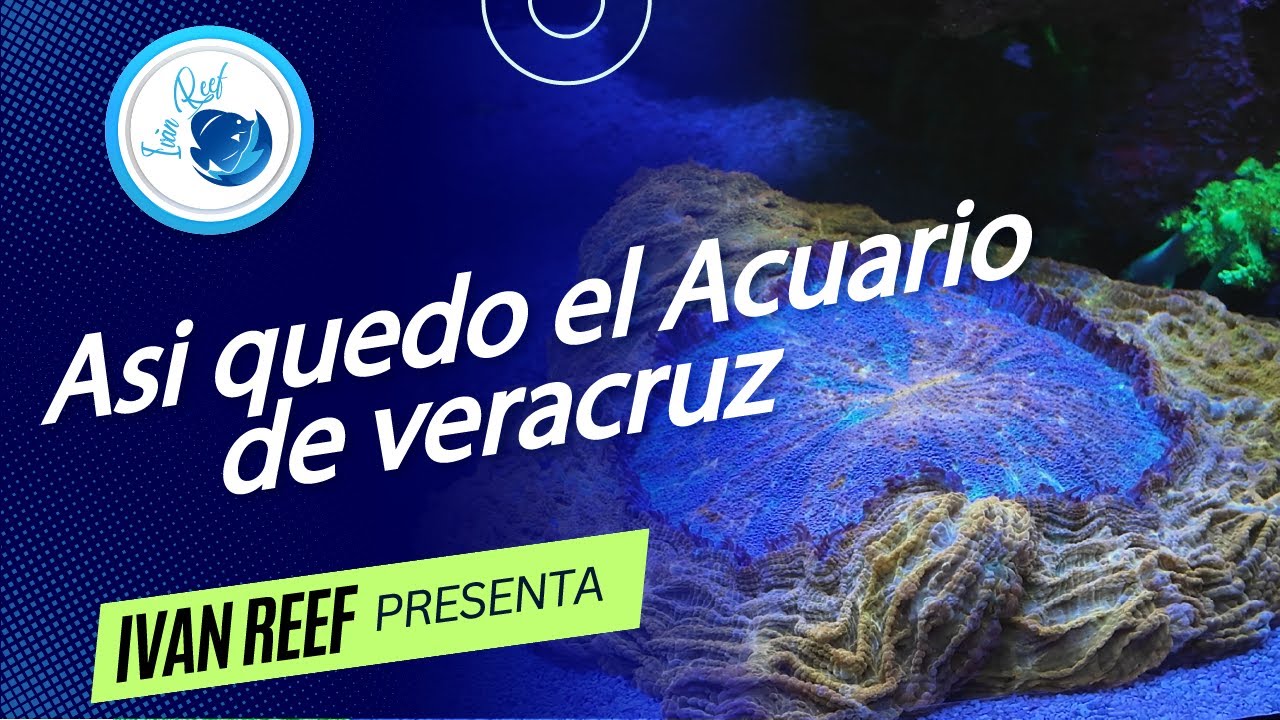 Asi quedo el acuario de veracruz