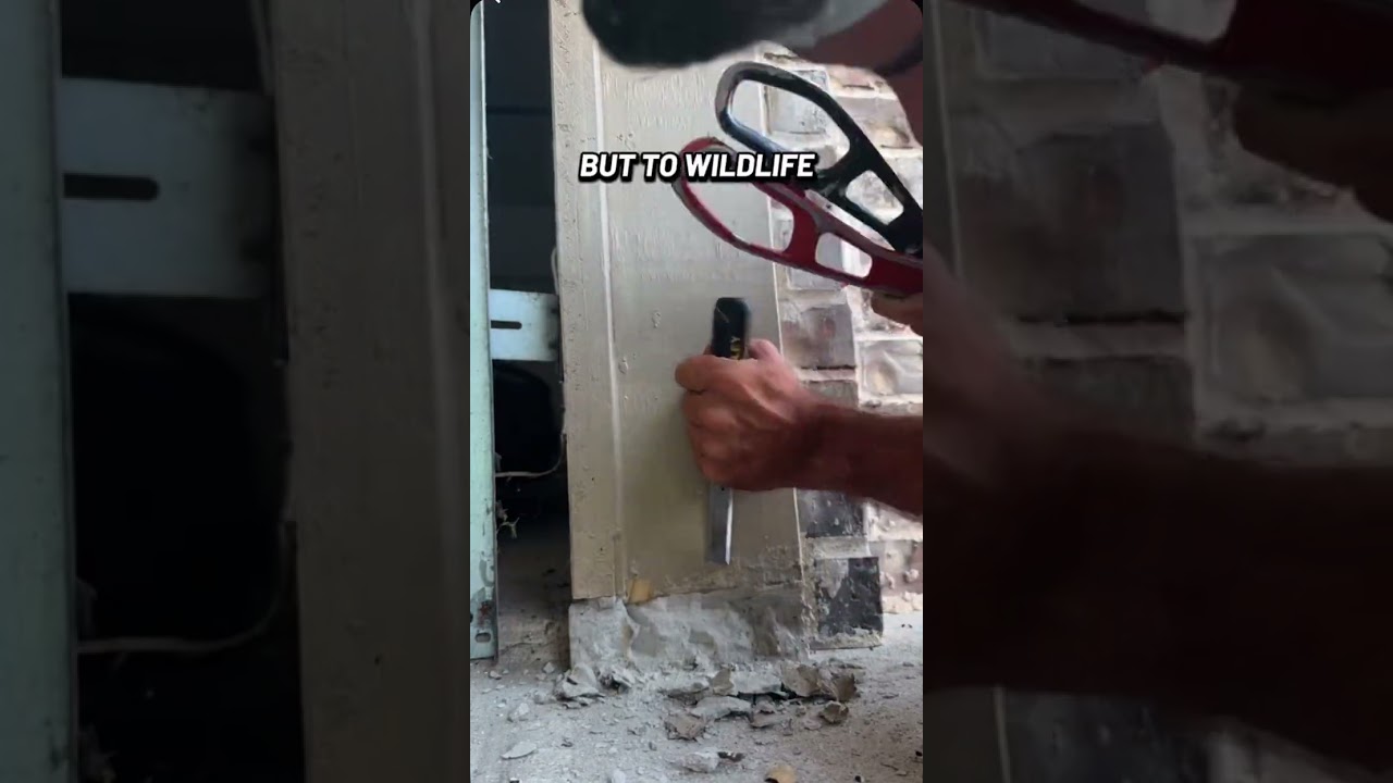 What Are Garage Tabs? | Why We Seal Them to Stop Wildlife    