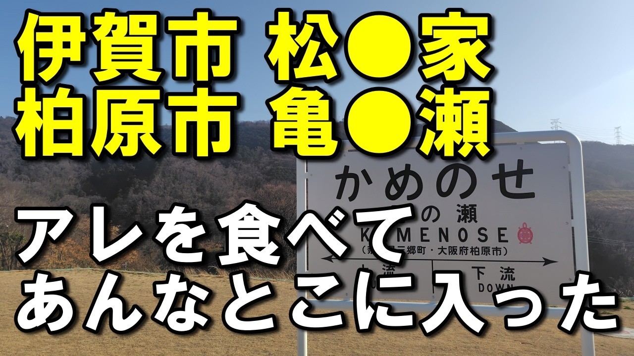 【伊賀市→柏原市】すんごいオムライス食べて→無料のプロジェクションマッピング観た！