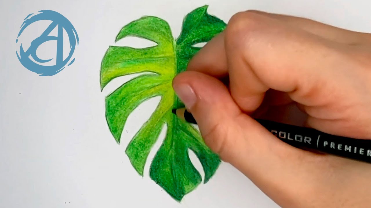 COMO PINTAR UMA FOLHA COM LÁPIS DE COR | Curso de Desenho Online