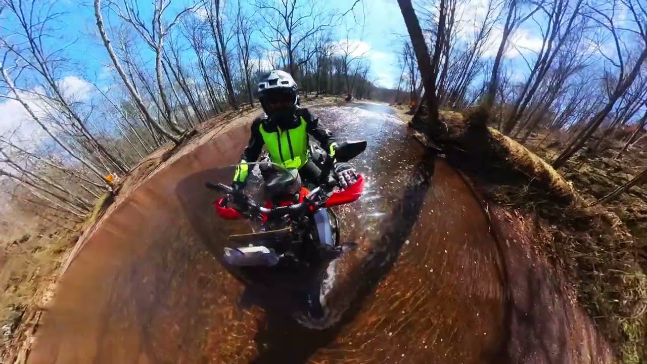 Bucks-Berks Co Ride