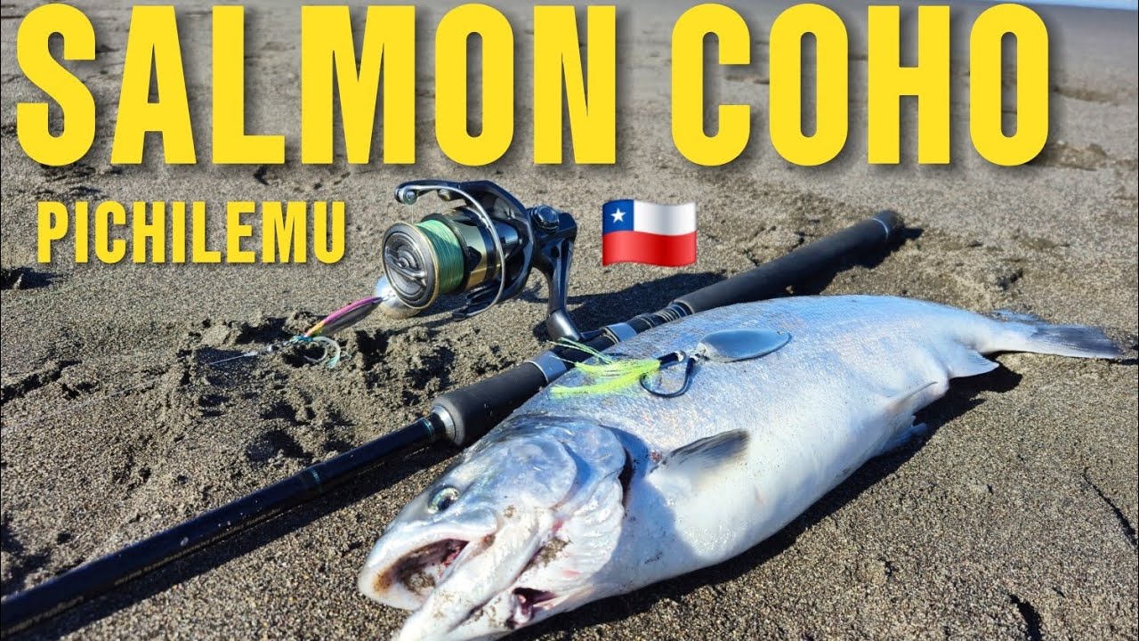 SALMÓN COHO Pesca y cocina | Algo poco común desde playa 🎣