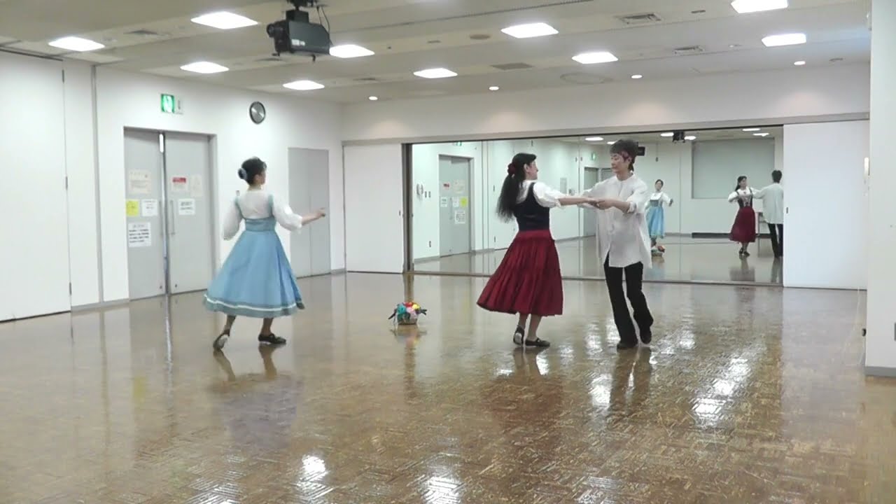 Schritt Walzer  シュリットワルツァー  -Germany (Mixer Dance)