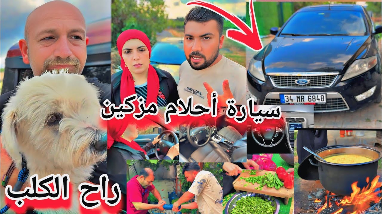اشترينا سيارة لمزكين 🚗ودعنا الكلب فندق ماعاد نشوفو مرة تانية😭//طبخنا فاصوليا خضرا