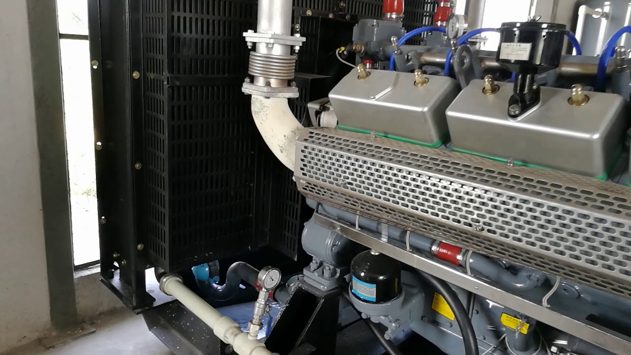 250Kw biogas generator Thailand pig farms