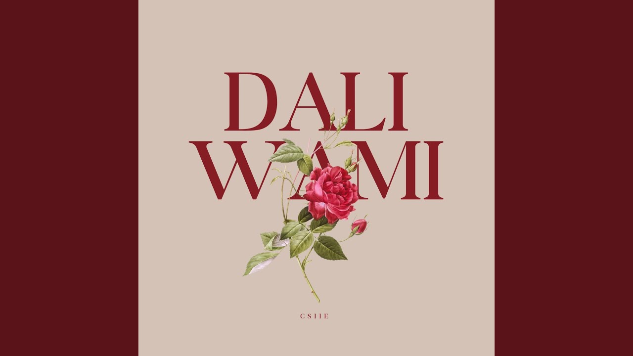 Dali wami