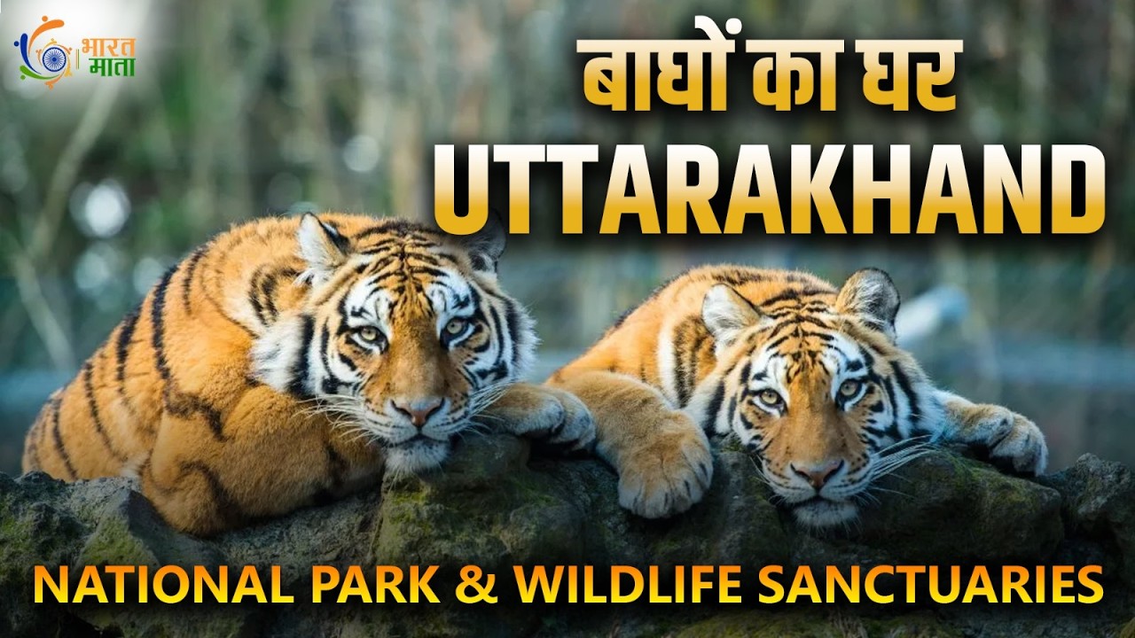 भारत का पहला National Park! | Uttarakhand National Parks & Wildlife Sanctuaries