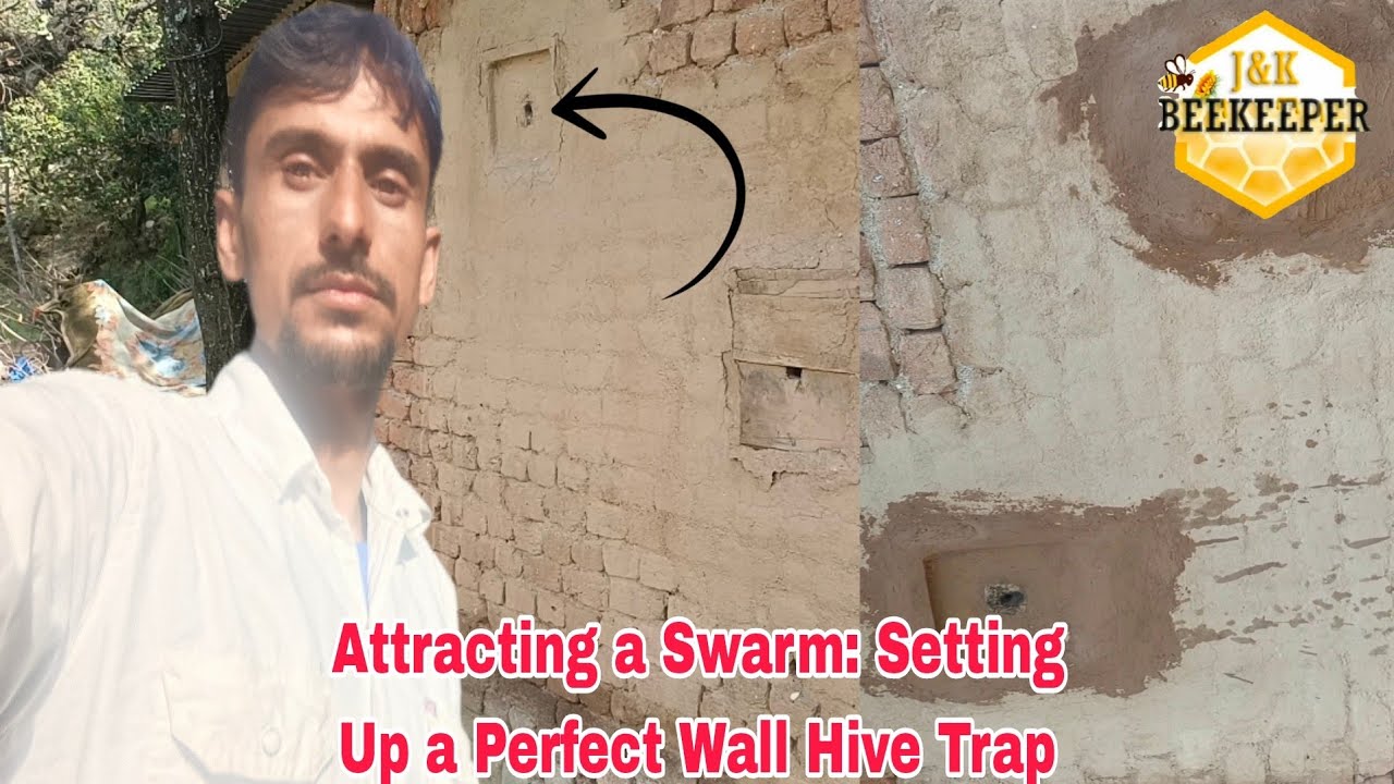 Combination Of Proper Setup & Enticing Scents | Trap for Honey Bees | Traditional Beekeeping
