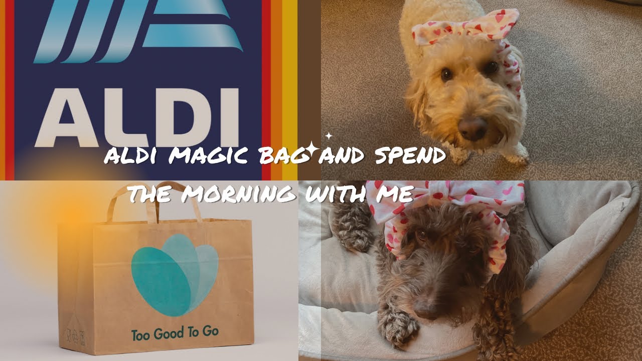 ALDI too good to go magic bag . Pampered cockapoos and spend the morning with me
