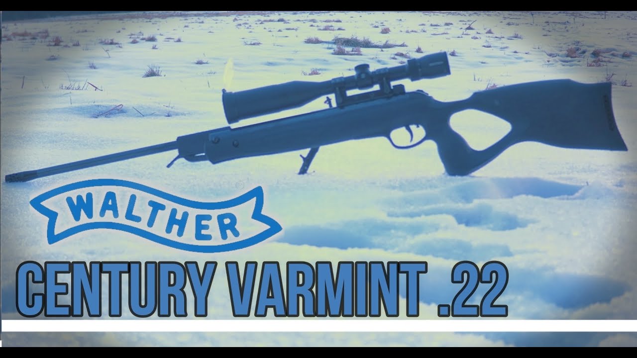 Walther Century Varmint  .22