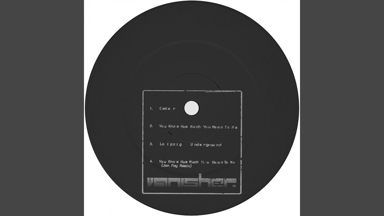 You Know How Much You Mean to Me