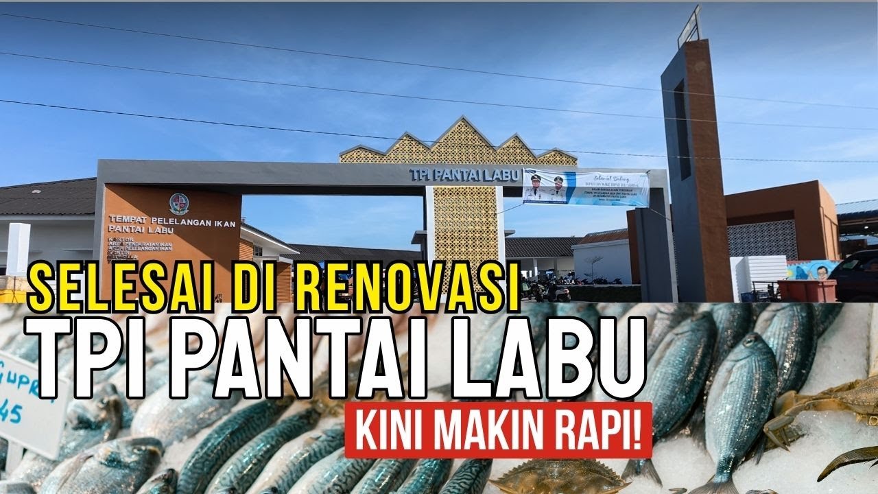 TPI Pantai Labu Setelah Renovasi, Kini Jadi Lebih Bersih!
