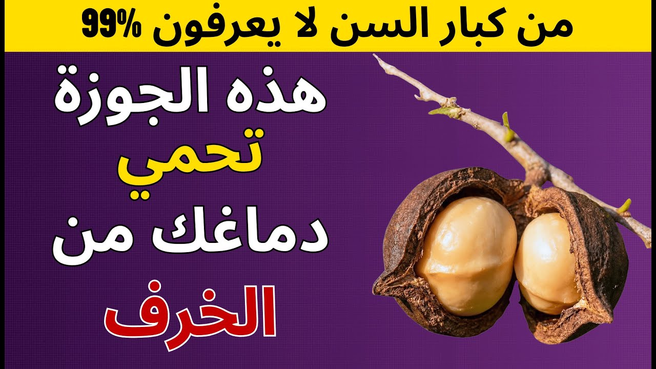 ١. ٤ مكسرات تقتل الذاكرة و٤ تحييها من جديد