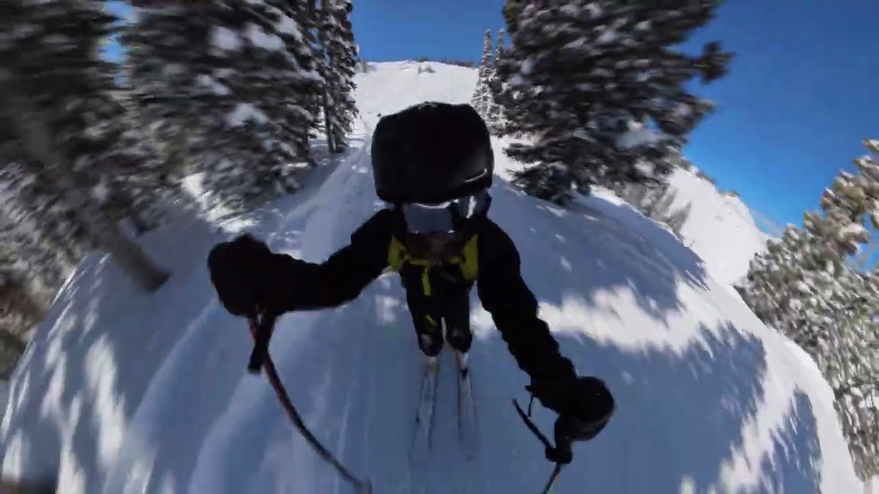Blue Bird Alta POW DAY