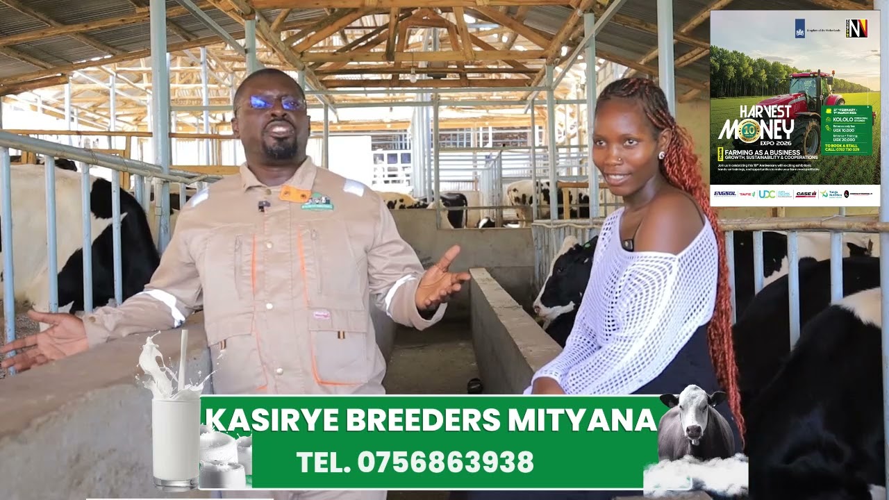 Lwaki buli family eyina okubeera nente eza dairy 