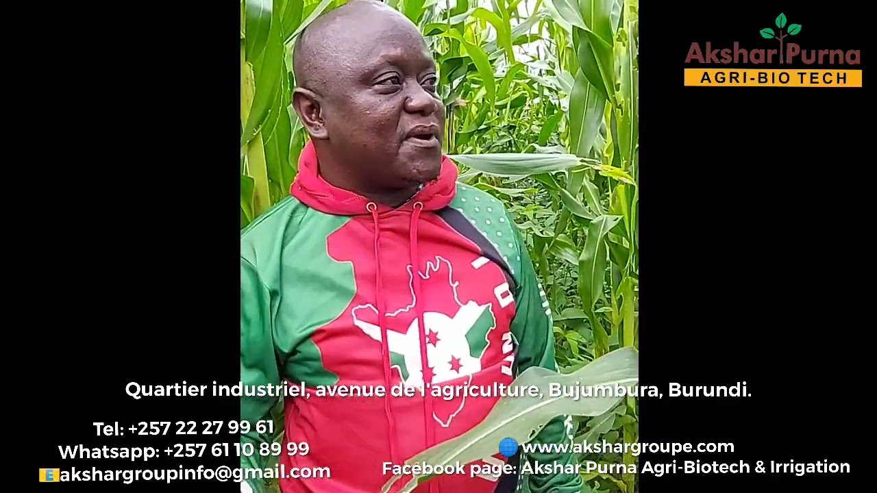 Intara ya Bubanza (BURUNDI) yishimiye ivyiza yashitseko kubera ifumbire kama PURNA SAMPURNA