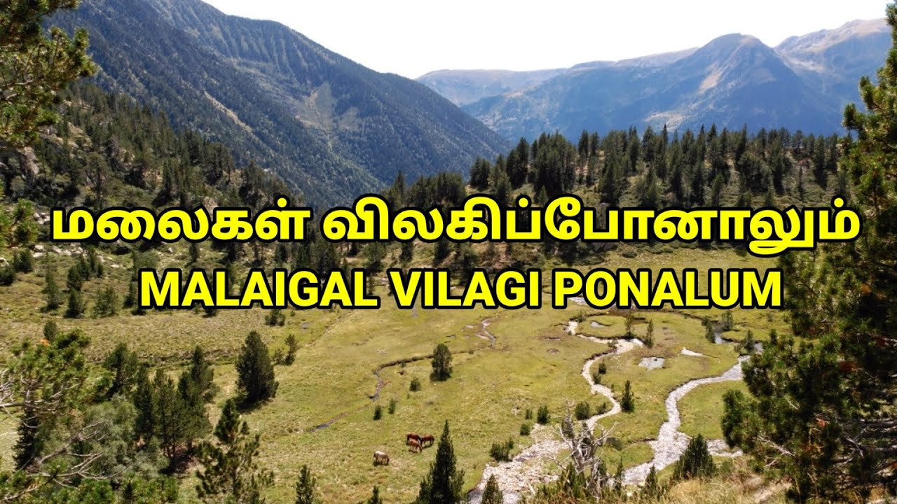 Malaigal vilagi ponalum Tamil Christian song with lyrics| மலைகள் விலகி போனாலும்  |Tamil worship song