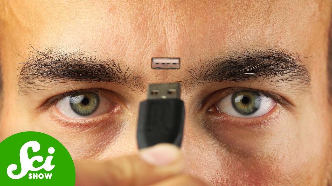 How Much Information Can A Human Head Hold?