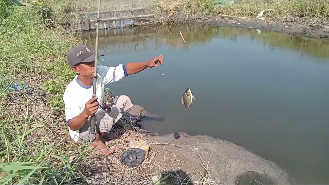 buka lg kolam bg anto perdana,tgl 25/1/2026.minggu jam 5 pg,di pauh amparan perak medan