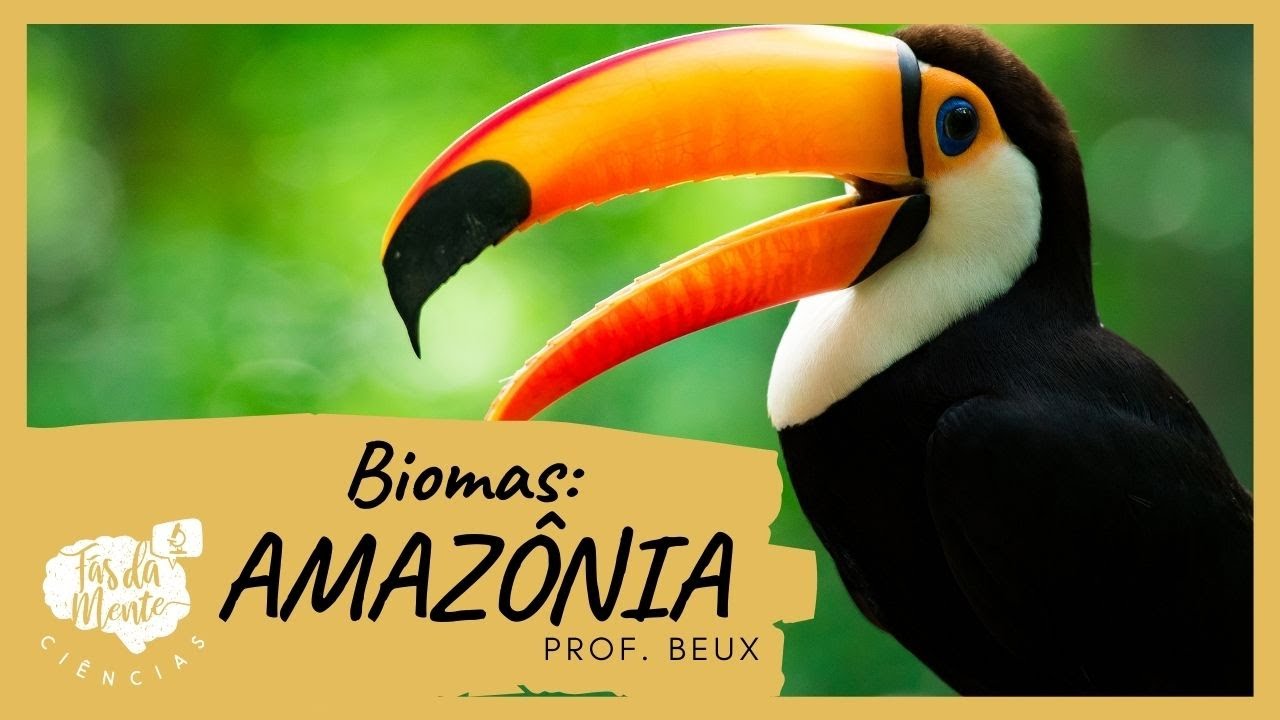 Biomas: AMAZÔNIA - Ensino Fundamental