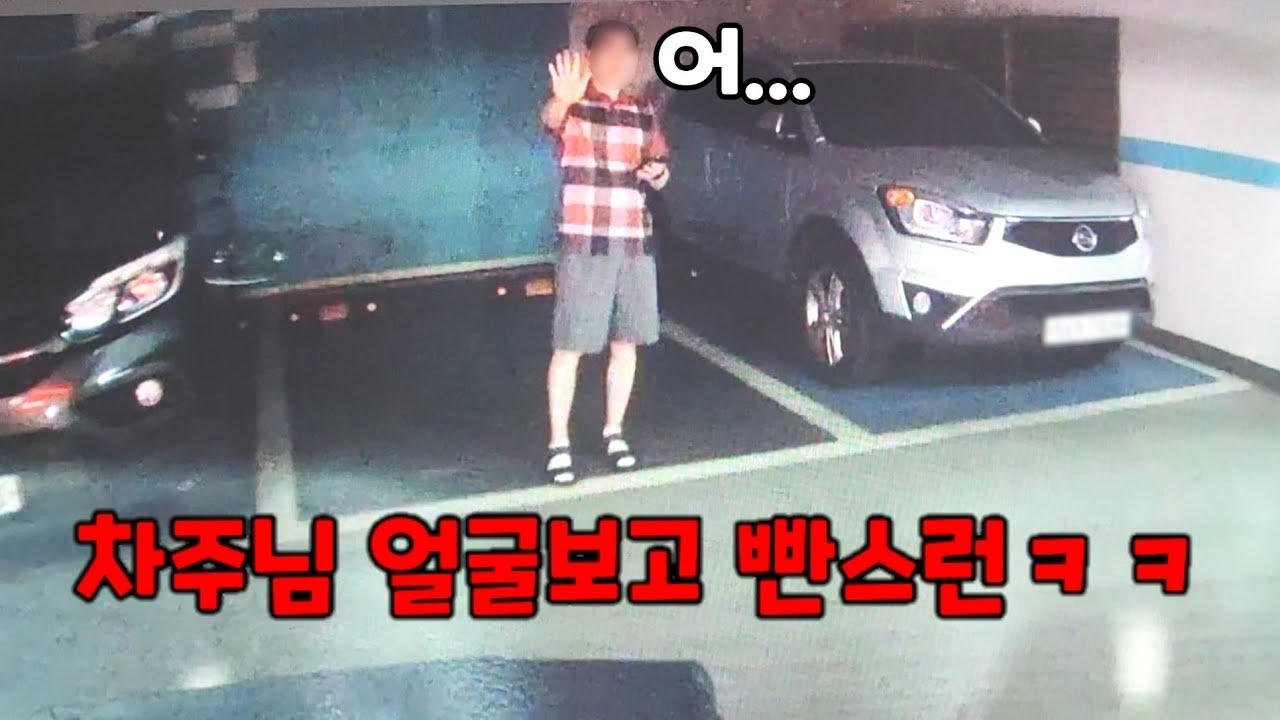 도참시 블랙박스 :쫄아서 그냥 가는 라바콘 구D기.... 2025 최신블박영상