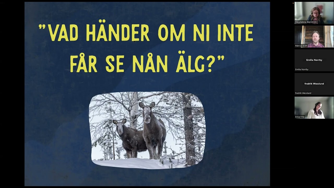 Locka fler besökare, skapa upplevelser som säljer