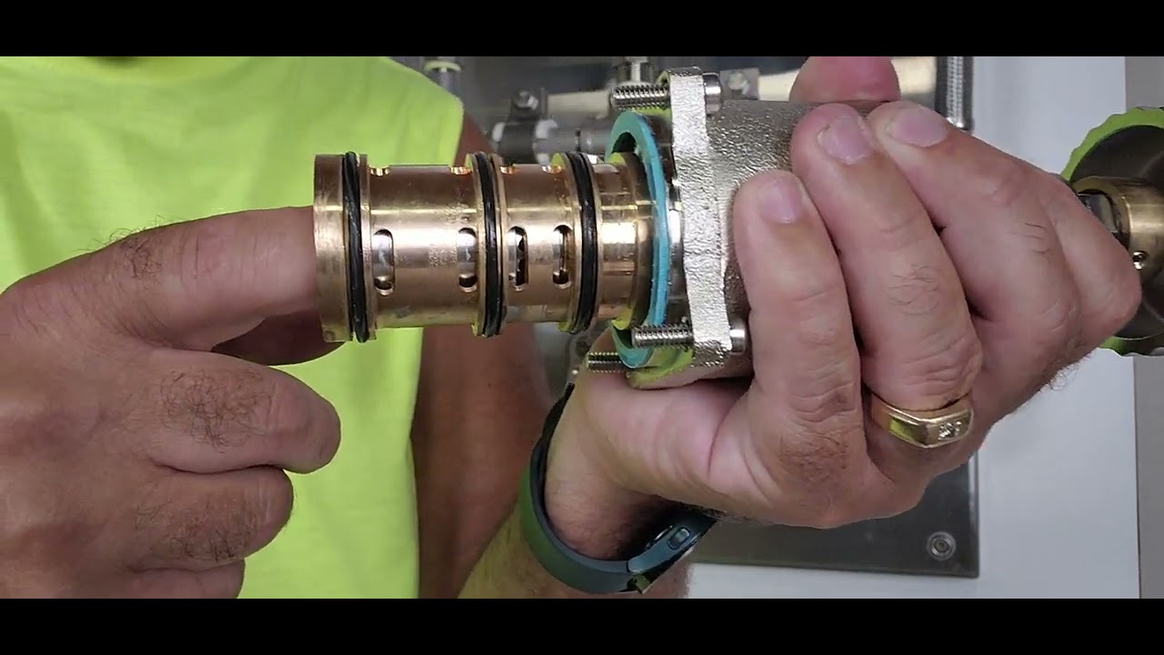 Waterwerks Vichy Shower Maintenance