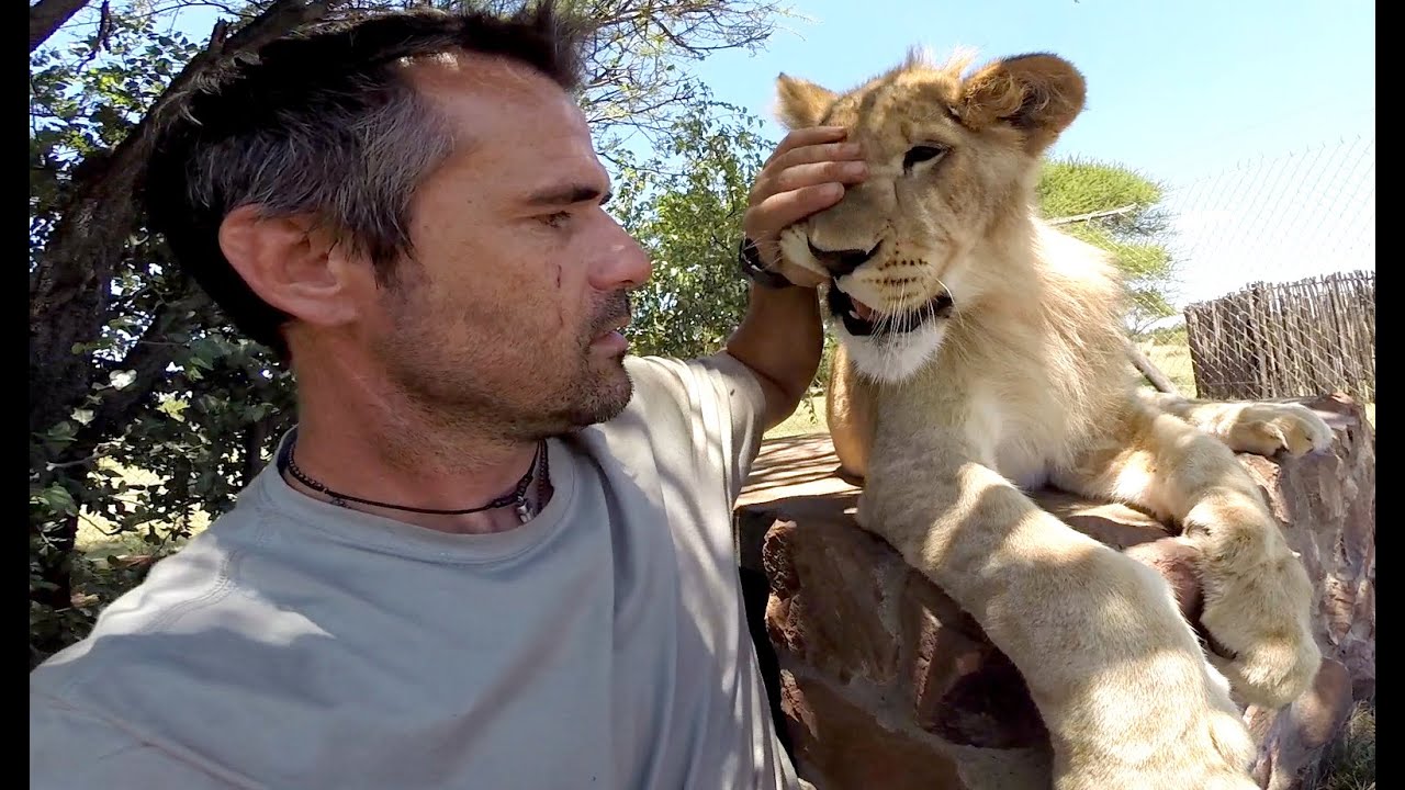 Kevin's Iconic Tooth Necklace | The Lion Whisperer