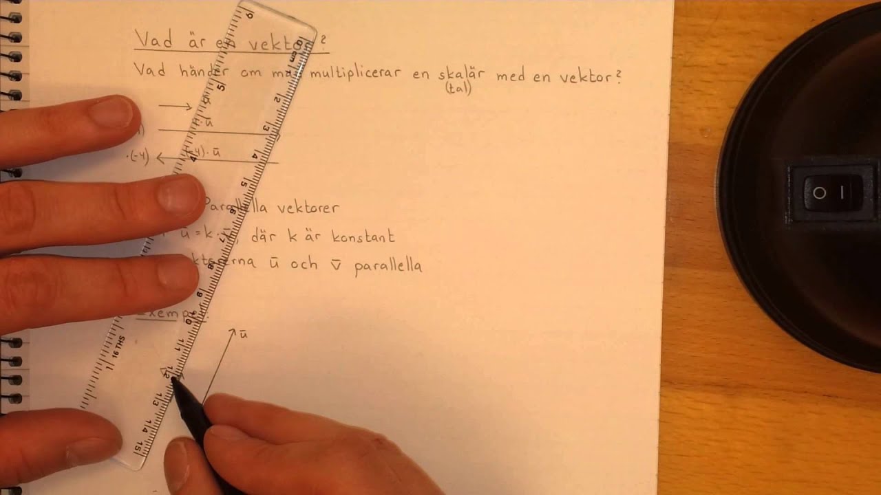 Ma1c Vad är en vektor?