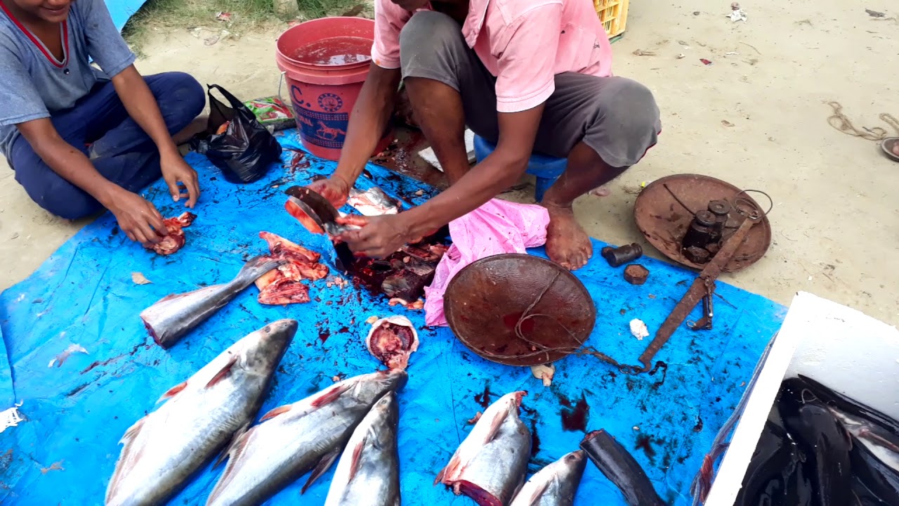 Fish market in Nawalparasi nepal semari bazzar