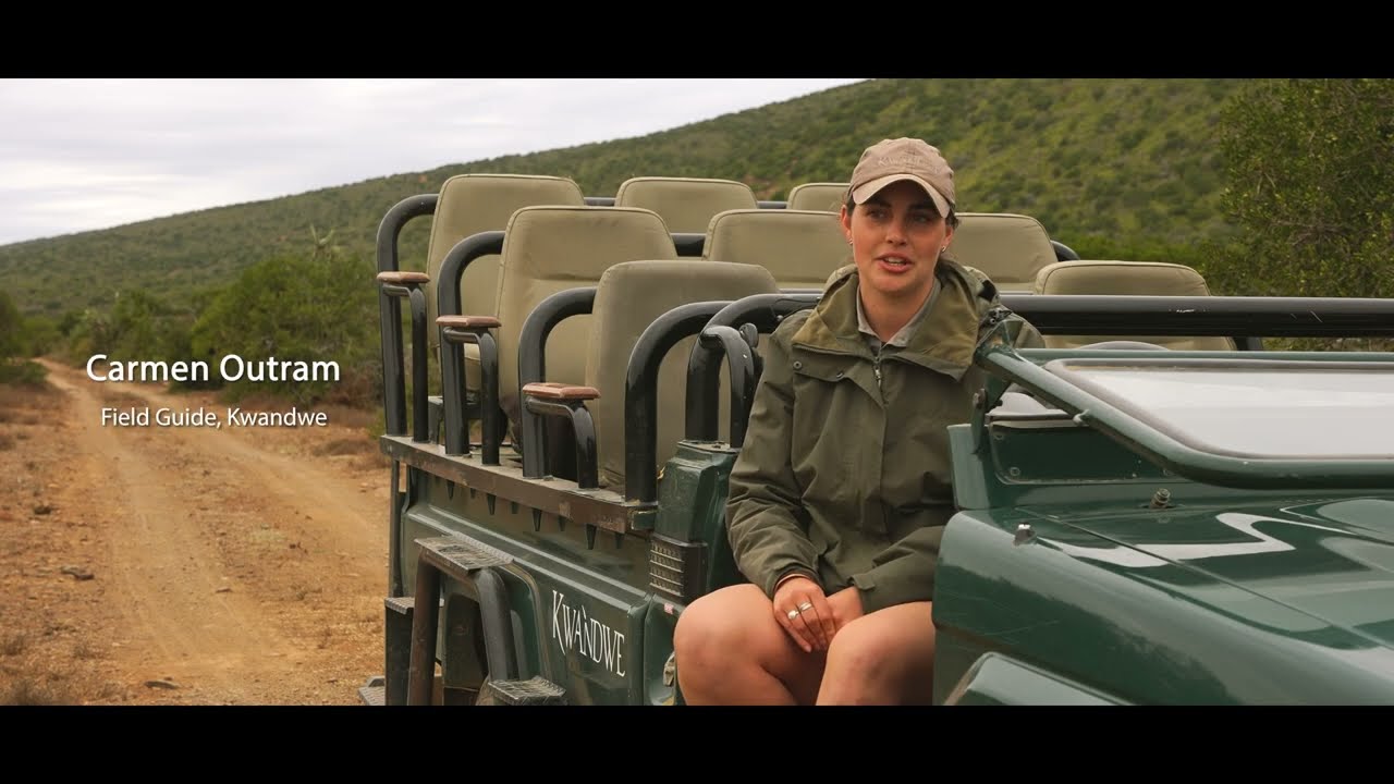 Inside Kwandwe’s Expansion: Unveiling New Safari Experiences & Wildlife