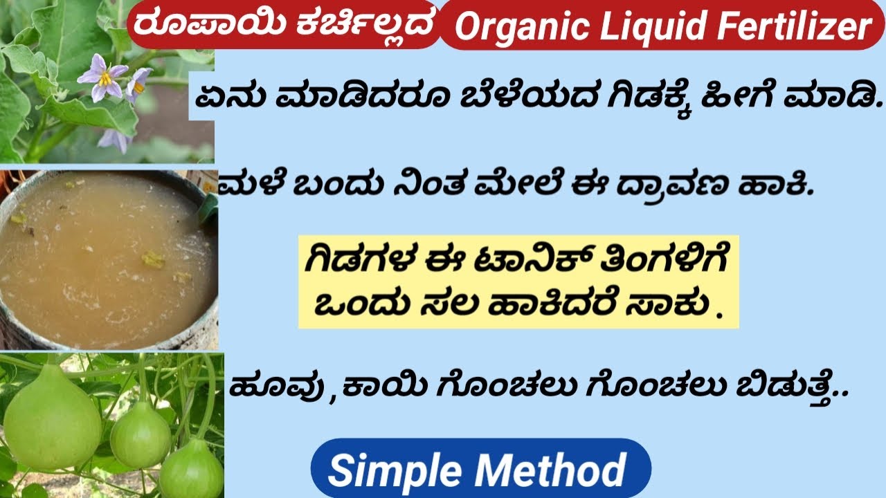 Organic NPK Liquid Fertilizer/How to make Liquid Fertilizer at Home/Free of Cost/ದ್ರಾವಣ ತಯಾರಿ ವಿಧಾನ.