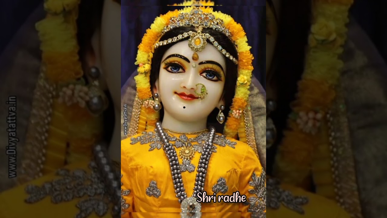 radha radha .....radha radha krishna #shrihitradhakripa #vrindavan #bhaktisong #bhajanmarg #barsana
